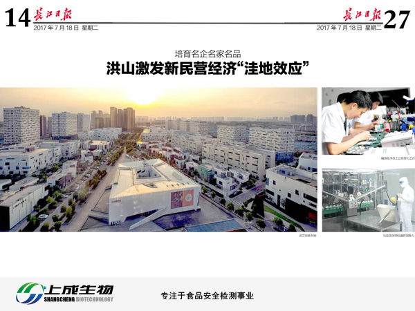 長江日報(bào)：洪山激發(fā)新民營經(jīng)濟(jì)“洼地效應(yīng)”